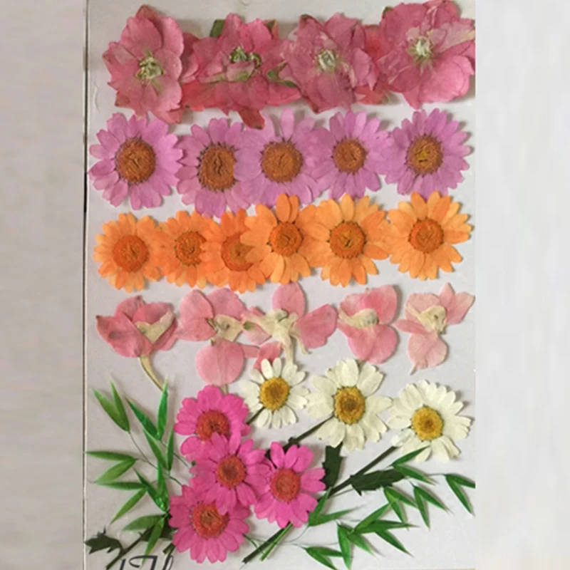 Rôzne Larkspur / List / Chryzantéma Modrý A Ružový Kvet Sušené kvety Opatrenia DIY Telefón Prípad zadarmo zásielky, 2 tašky