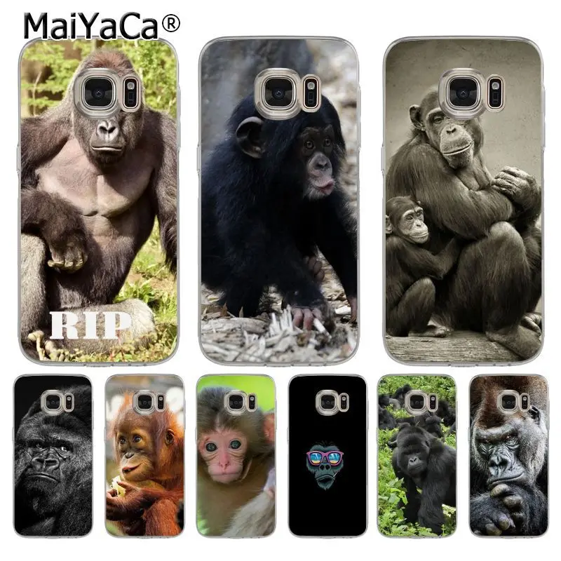 MaiYaCa Opice Gorily, Opice Dieťa Luxusný transparentný mäkké Telefón puzdro pre samsung galaxy s7 okraji s6 okraji plus s4 s5 s8 plus prípade