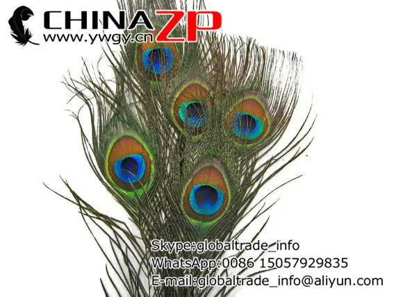 Výrobca v CHINAZP Factory 50pcs/veľa 25~30 cm Dĺžka Krásne Prírodné Plné Očí Páva Chvostové Perá pre DIY Dekorácie