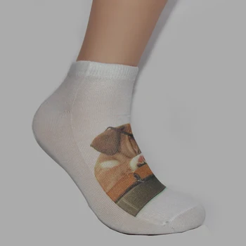 3D Tlač Ponožky Low Cut Členok Ponožka Biela Farba Pes S Okuliarmi Vzor Leto, Jeseň Pohodlné Ženy Bavlna Bežné Ponožky Meias