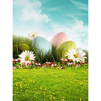 Allenjoy fotografie pozadie Veľkonočné Vajíčko Kvet obloha farebné trávy baby sprcha deti pozadí photo studio photocall